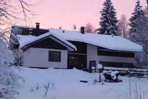 Atmospheric house on riverbank